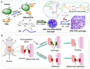 Adhesion Preventing Hydrogel